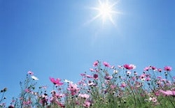 Spring
