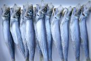 Fishy