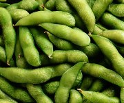 Soybeans