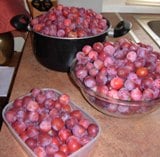 Plums
