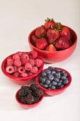 Fruit