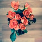 Beautiful Roses