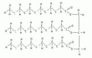 Fats-1
