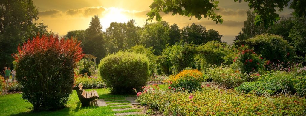 Peaceful garden