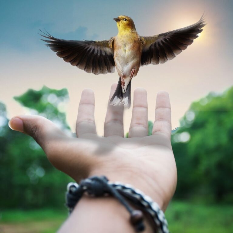 flying high